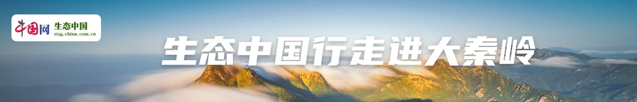 生态中国行走进大秦岭